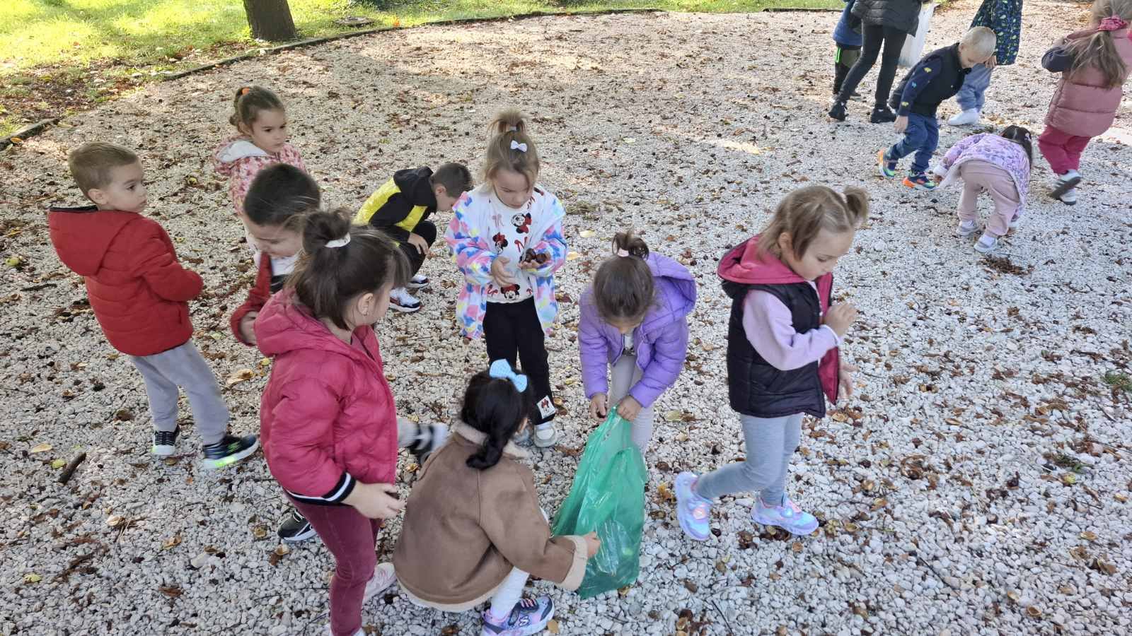 Svjetski dan pješačenja